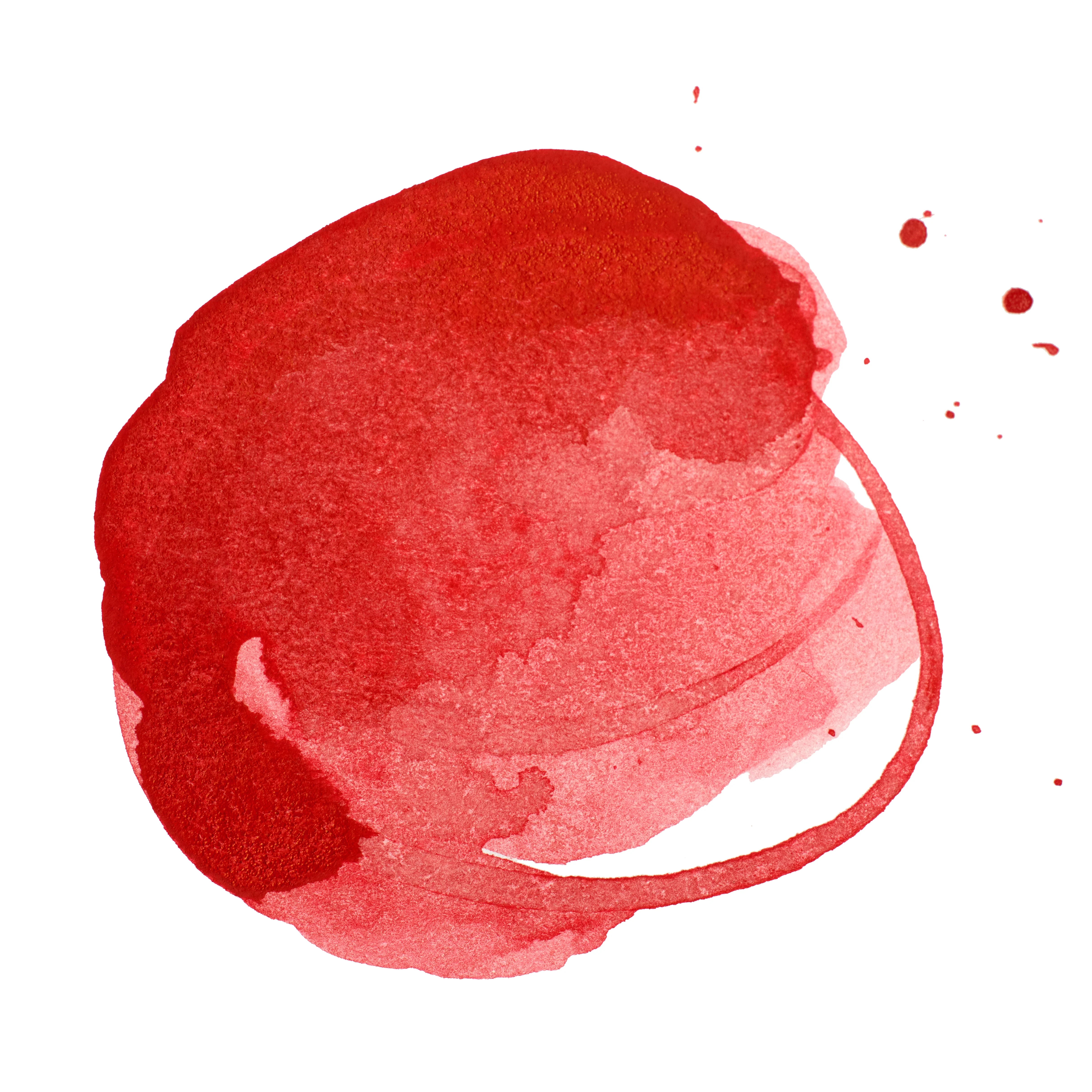 Thumbnail 13